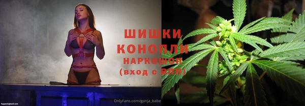 гашик Алексеевка
