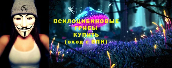 гашик Алексеевка